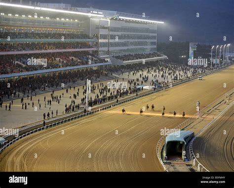 seoul horse racing tips|A Guide To Seoul Racecourse In Korea .